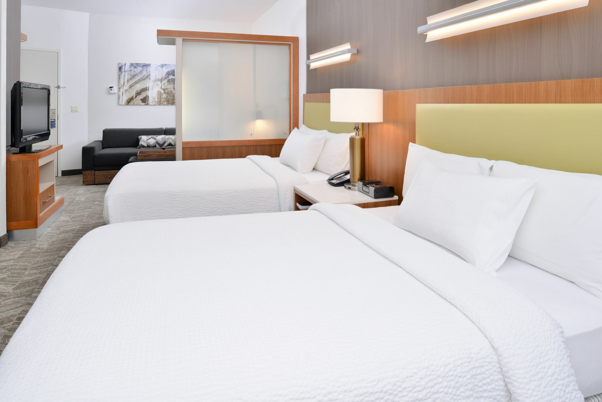 Springhill Suites Ashburn Dulles North Zewnętrze zdjęcie